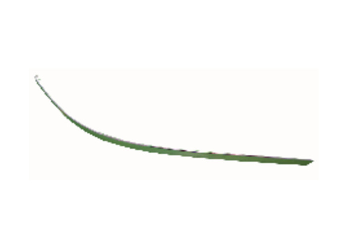 BUMPER LATH REAR R-L SET (NICKEL)